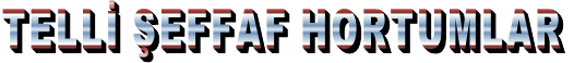 TELLİ ŞEFFAF HORTUMLAR